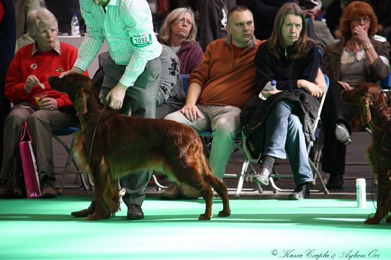 Crufts2011 749.jpg